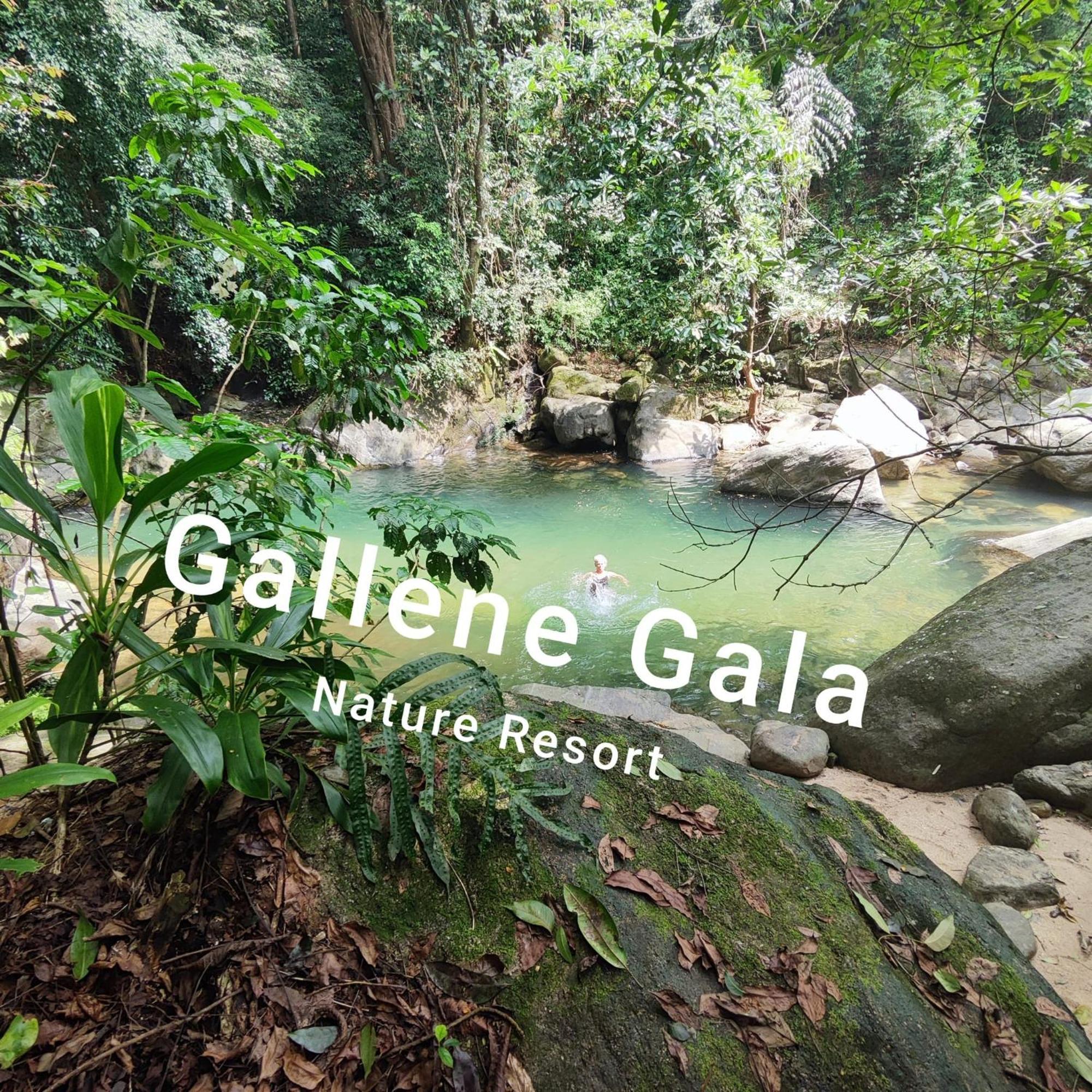 Gallene Gala Nature Resort Kitulgala Exterior foto